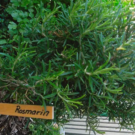 In Near Coast Apartmán *